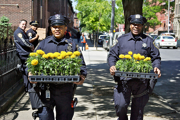 BSDC Flower Bed-Stuy - 006